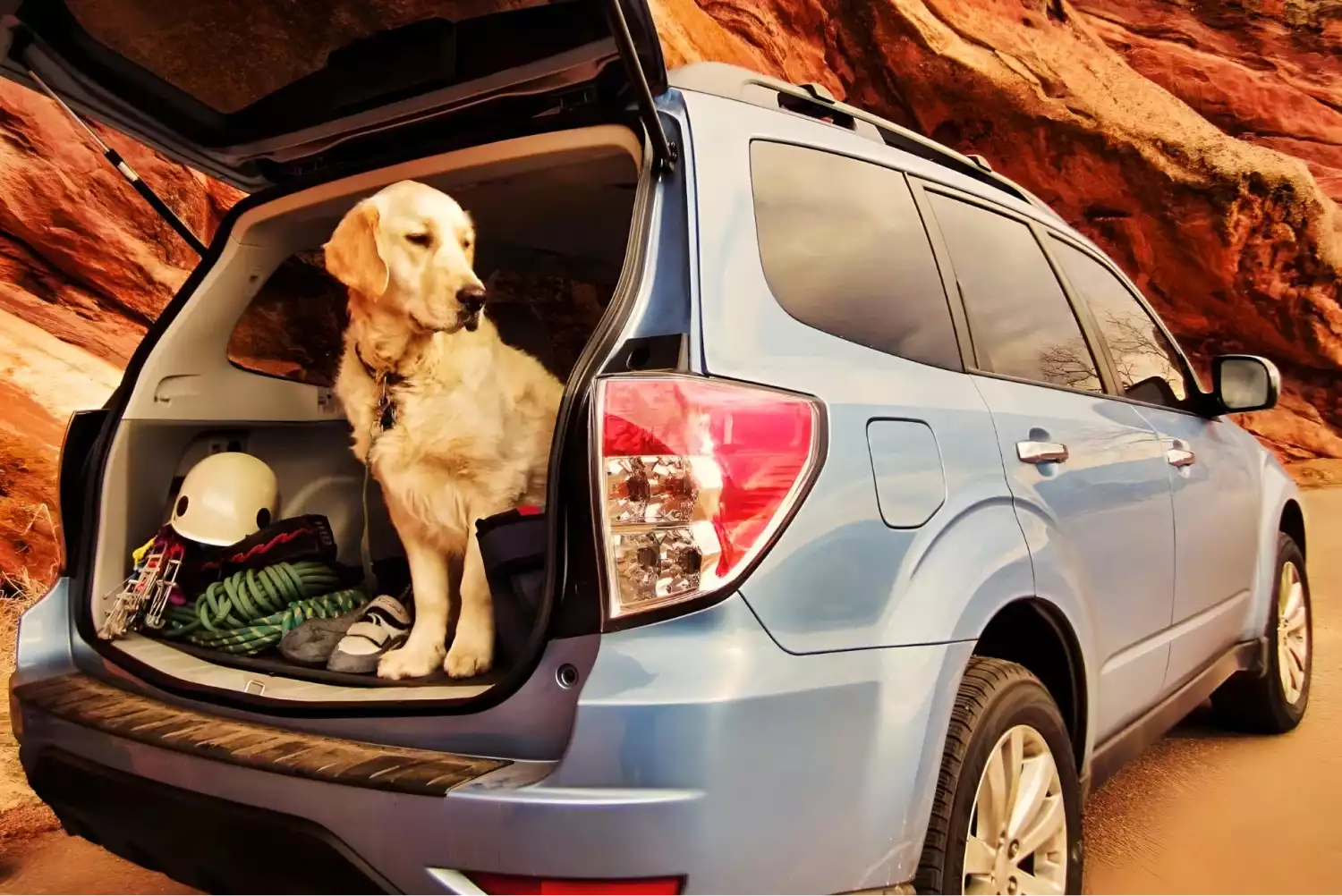 Subaru Forester back seat organizer