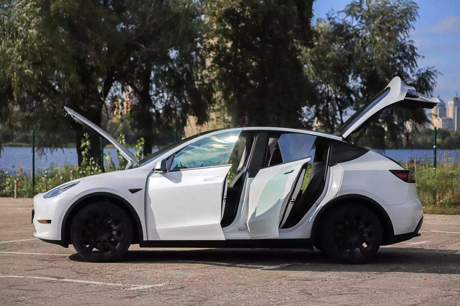 trash containers for Tesla Model Y