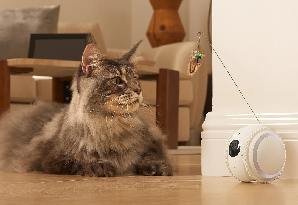 best indoor camera for pets