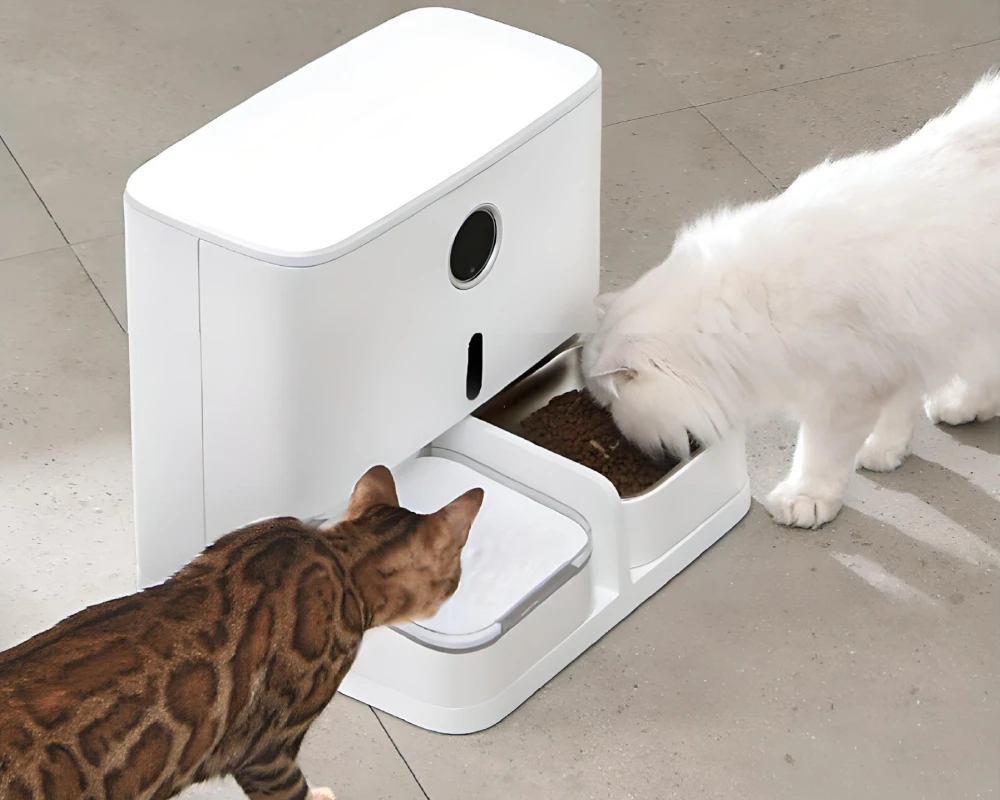 automatic pet feeder with camera