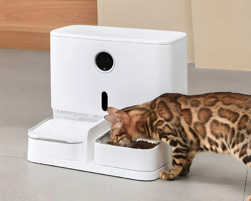 automatic dog bowl feeder