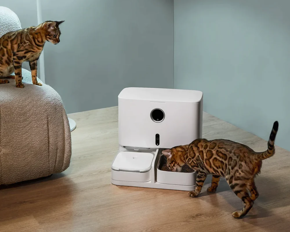 automatic pet feeder for 2 cats